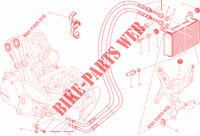ÖLKÜHLER für Ducati Multistrada 1200 ABS 2014