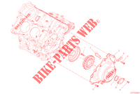 DECKEL / LICHTMASCHINE für Ducati PANIGALE V4 R 2023