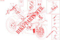 KABELBAUM ELEKTRIC für Ducati PANIGALE V4 R 2023